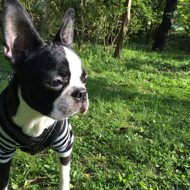 E99c8699 6757 49c4 aaf9 2bf2534ac74c