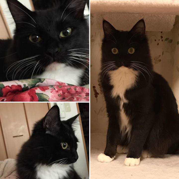 E99cc660 9604 4d76 a32f 300b7c7f85ca