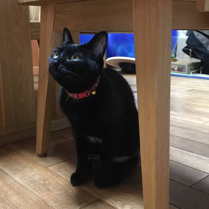 E99d8a40 47db 4889 9d94 bb70c0a753e1