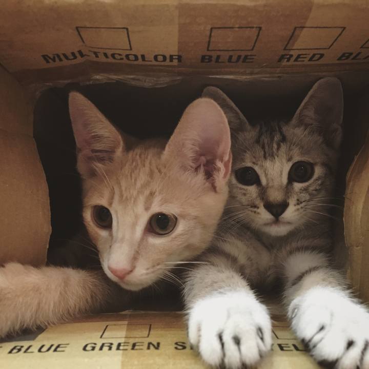 E99e2ac6 b270 4c8d b2ee 9227c51b3f20