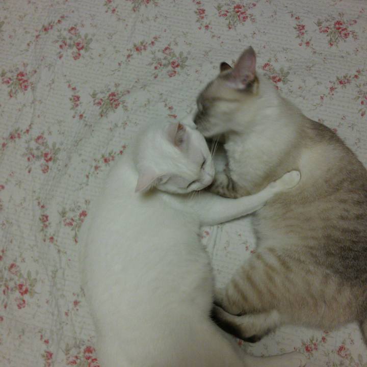 E99f10e1 b7ce 43e7 9f71 f2f20ef1768a