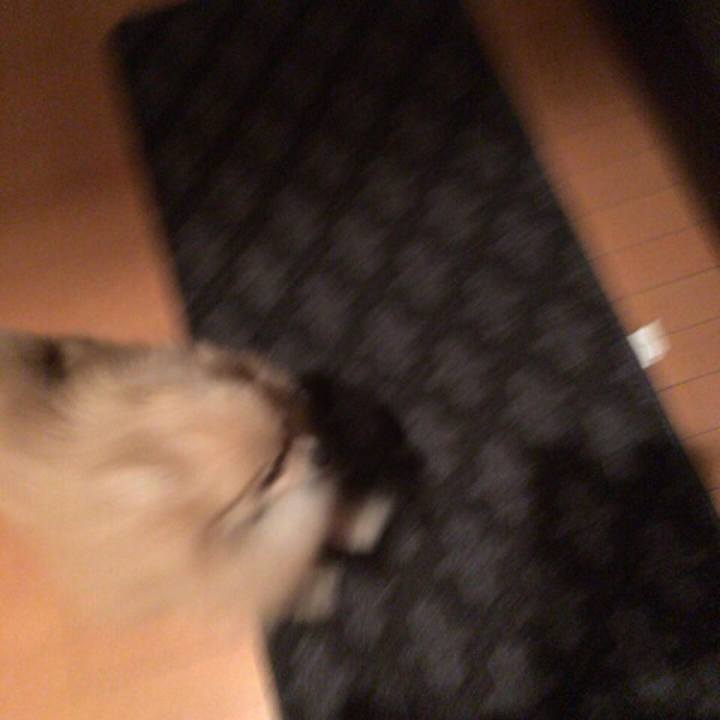 E99f1dd1 0392 4cd5 8294 d30f57db5a6b