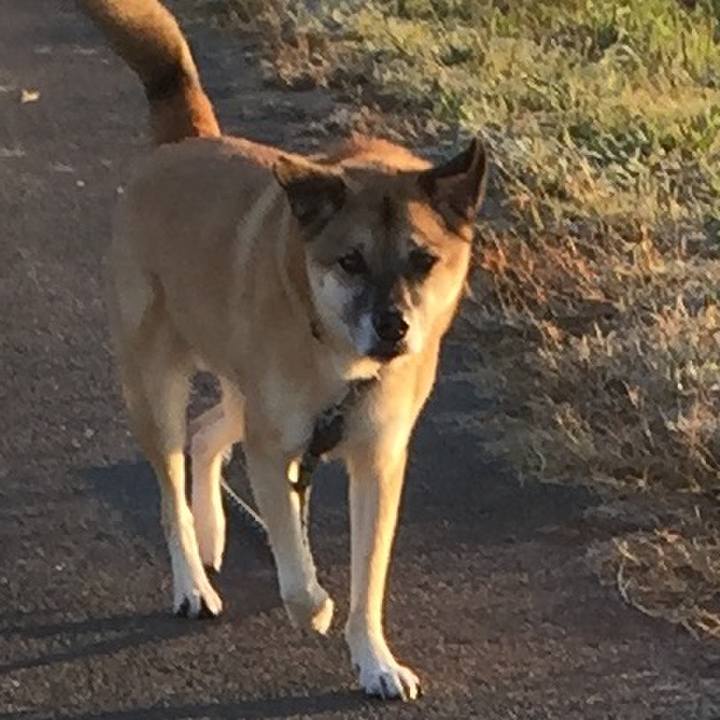 E99f9cbc 1934 41ec a6d1 ef655f5b9af0