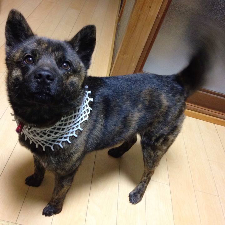 E99fb1b5 1e4c 417f 8950 c1ccbce22997