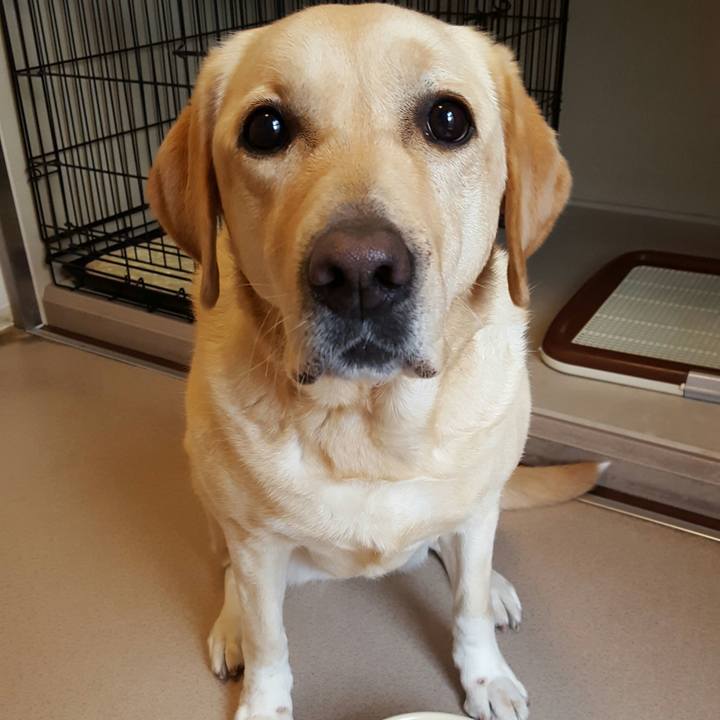 E9a07618 4a5d 4ea2 b4a2 6750fb63024e