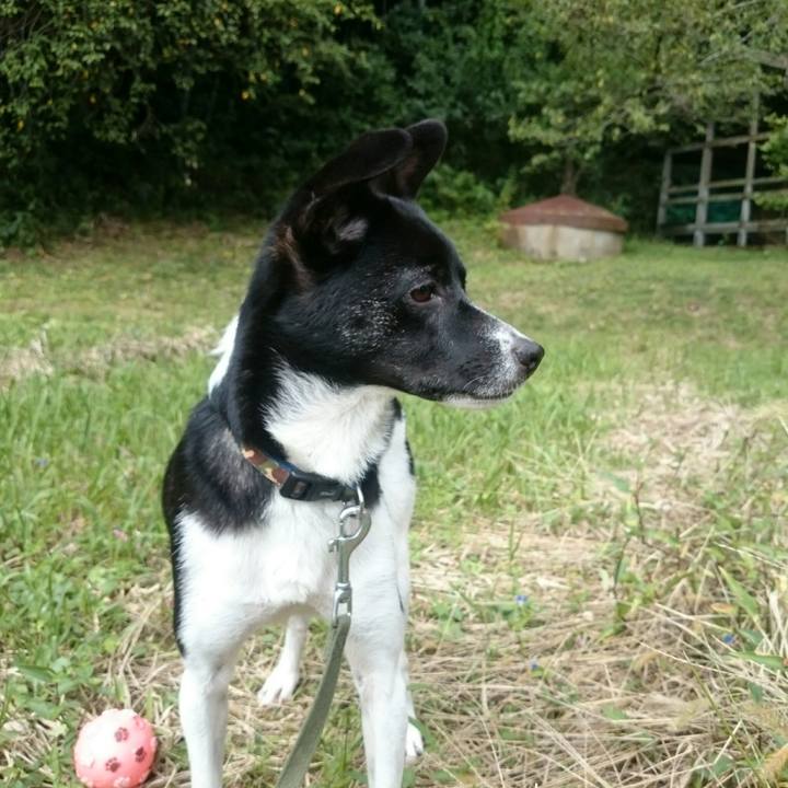 E9a0a4fa b753 4aca b3f0 be600ebccfd3