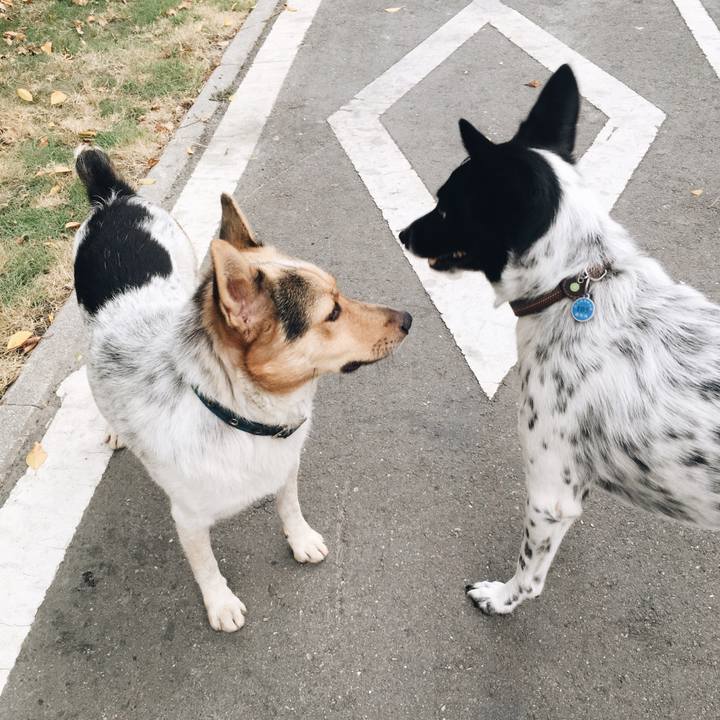 E9a0d267 2faa 4e44 ad25 21c936393df2