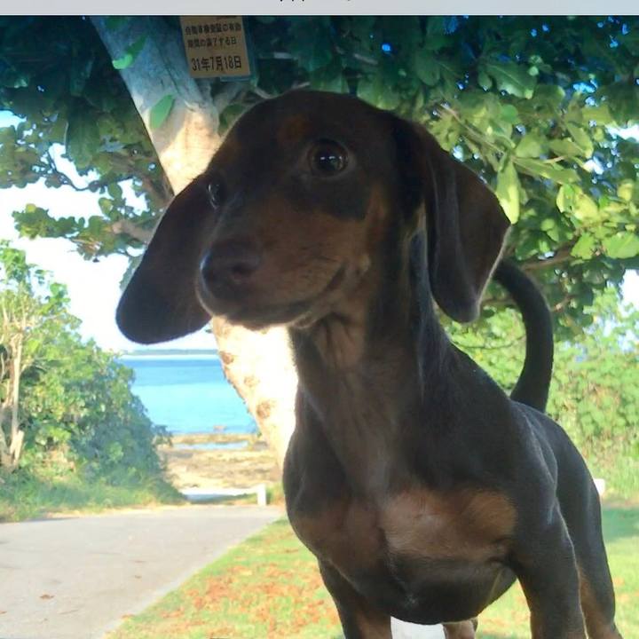 E9a124cf 3283 40d7 8aba 04deb5a20e37