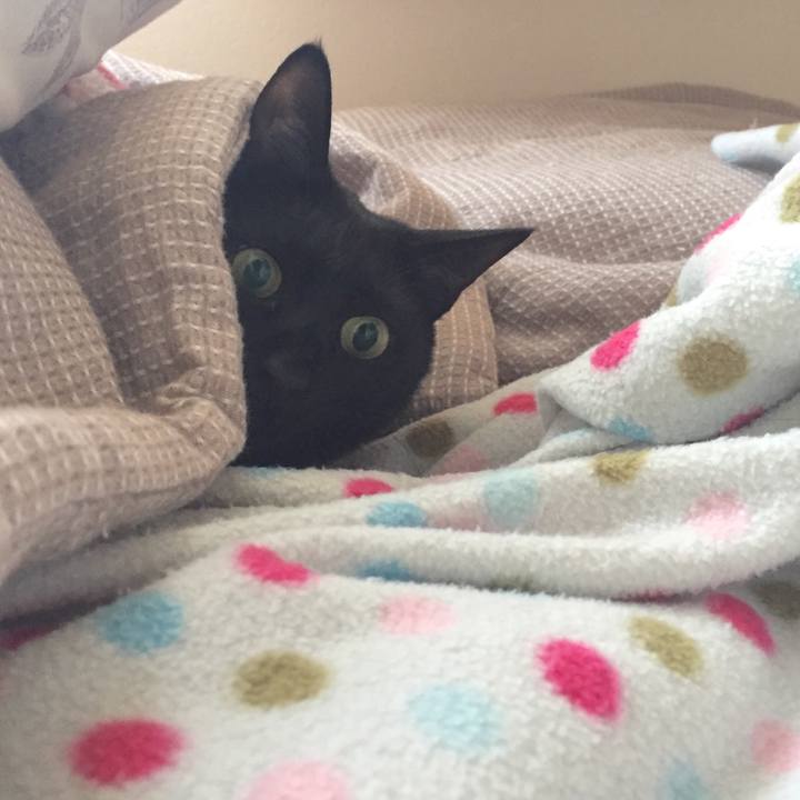 E9a4774f 6566 4fcc b2d6 dfab5c70b552