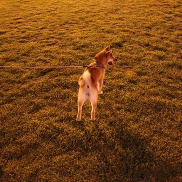 E9a4ebd3 57b6 49f9 be2f 753d939e23b9