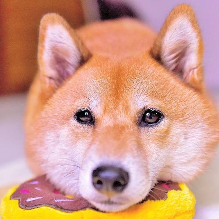 E9a4f048 54e2 4faf a76b 6b1f727dca32