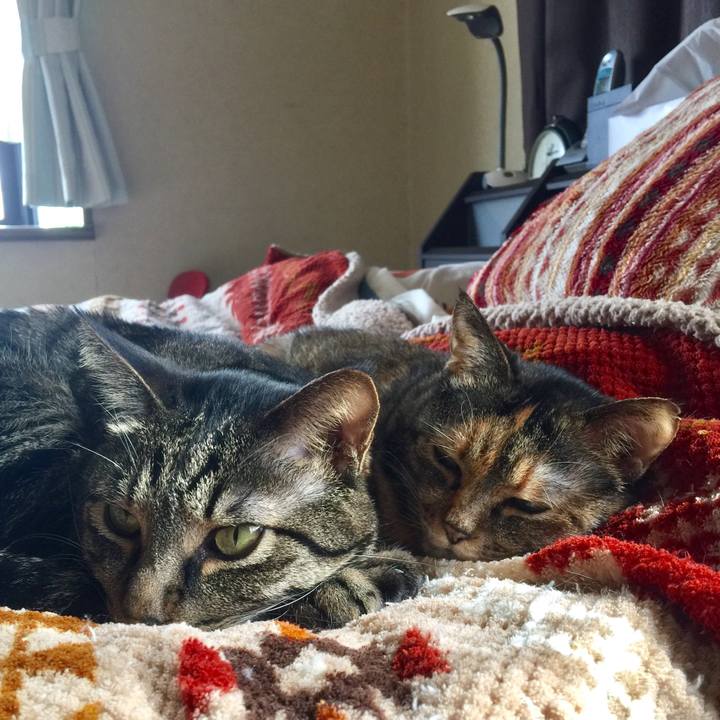 E9a535f1 443a 4099 93ff 9ee14f24854c