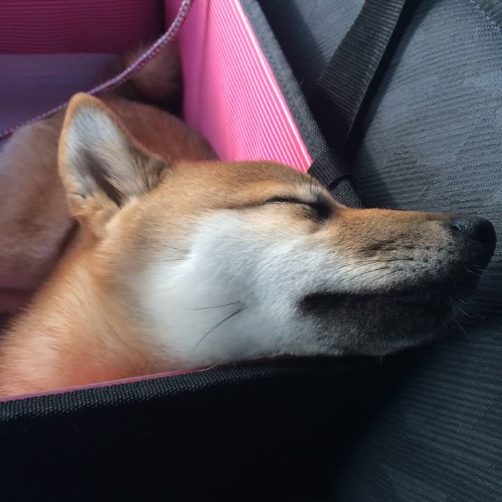 E9a5821e 2b32 4484 98a0 c5932203e700