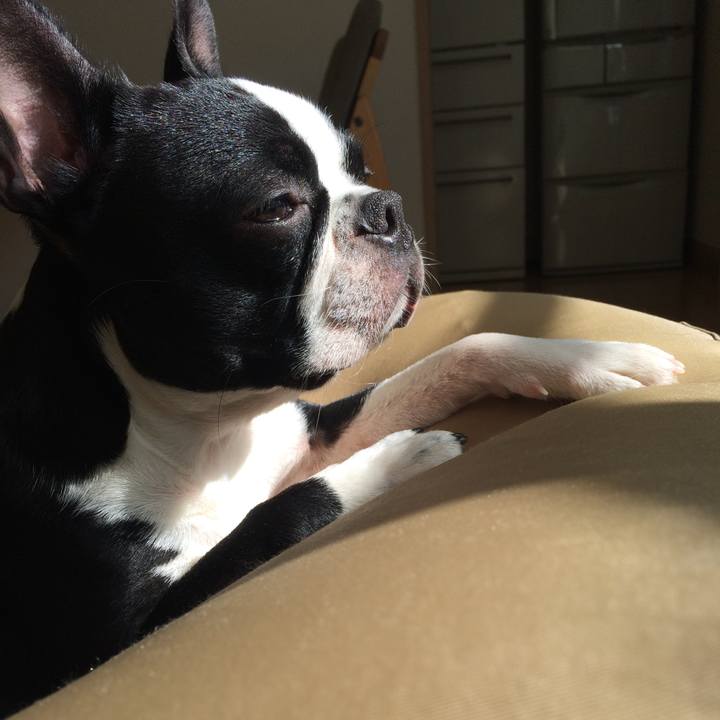 E9a5d0bb 9816 4c37 9319 31a6319f490b