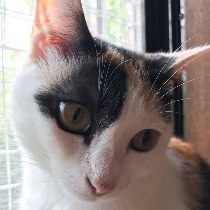 E9a643d6 c1bf 4897 8f63 feca6ae21147