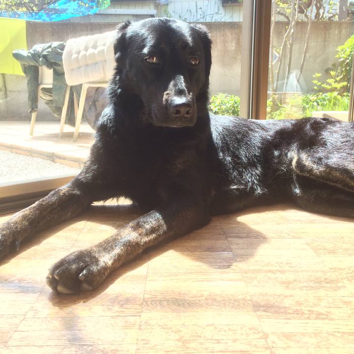 E9a6f19e 216b 4a0f 9148 62b1dd4e4411