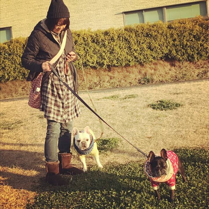 E9a81990 8b67 42b7 828e 4b18121be76f