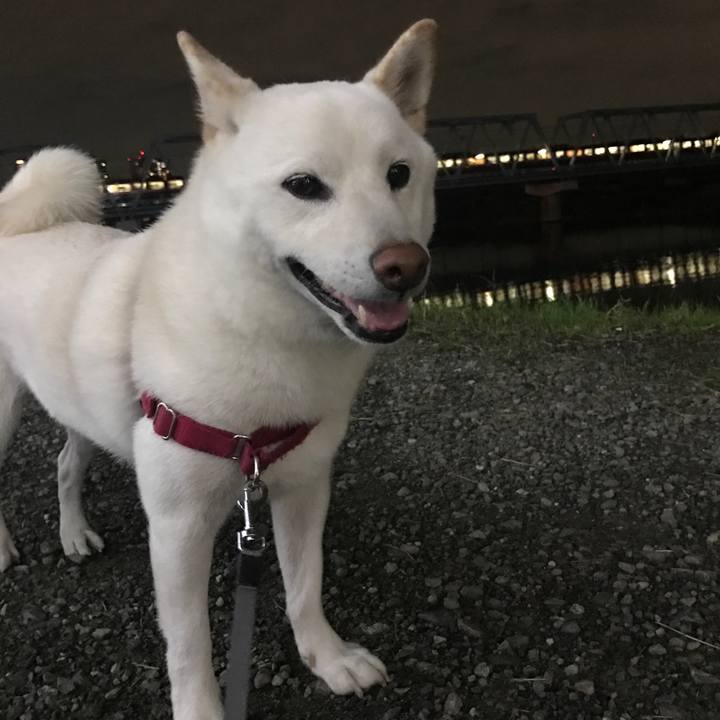 E9a86f55 3c5c 44f6 b467 622e450bdb75