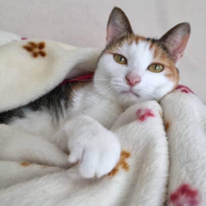 E9a88ad9 9344 4574 952c 2da369ce8ef9