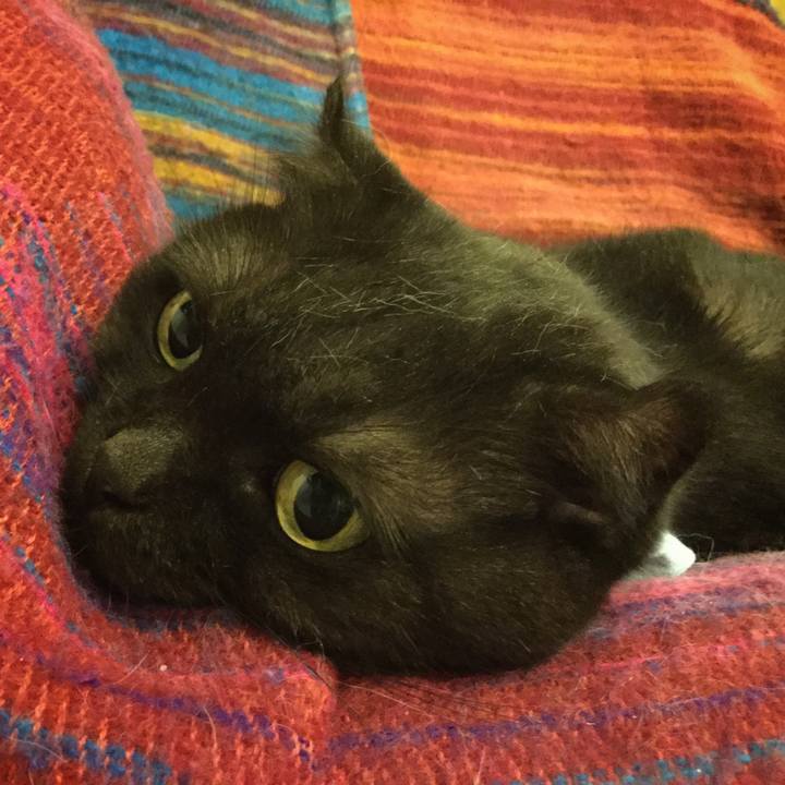 E9a8fc71 956c 495a 8c2d 0934e88ac87a