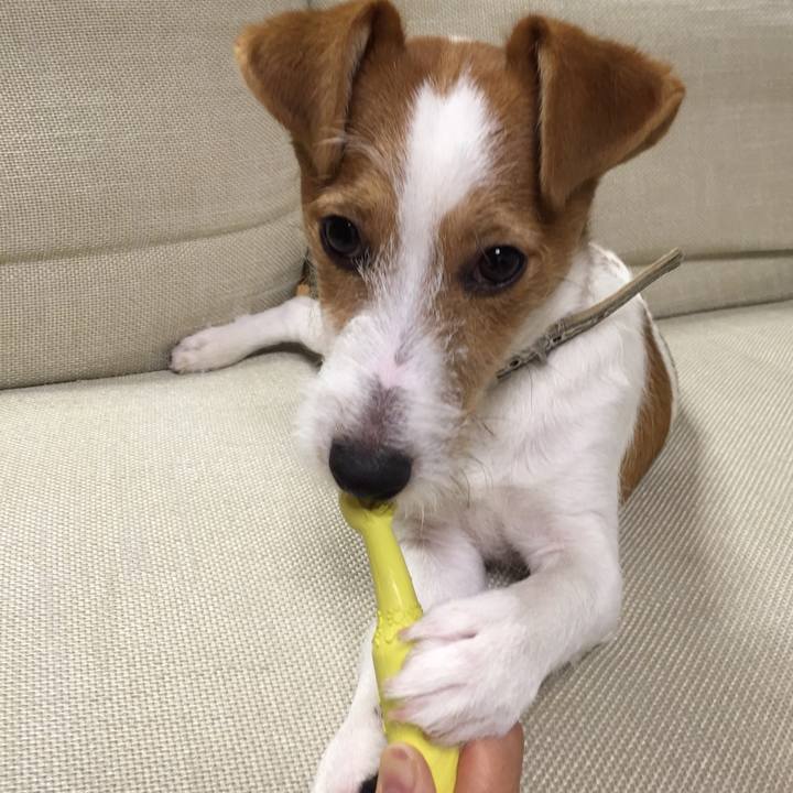 E9a940b1 97ee 4bd2 aa77 c932704206eb