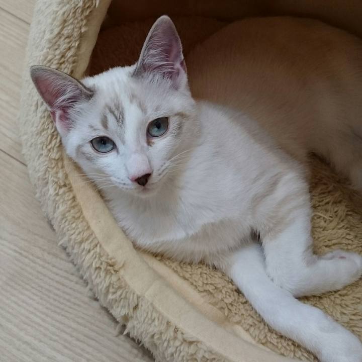 E9a94d5c 662b 4450 b8fc 20899602619e