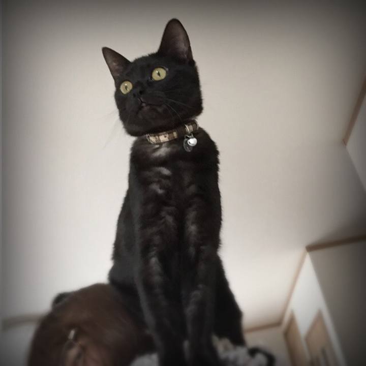 E9a97816 b1b4 4d8c a745 479c4b5476cc