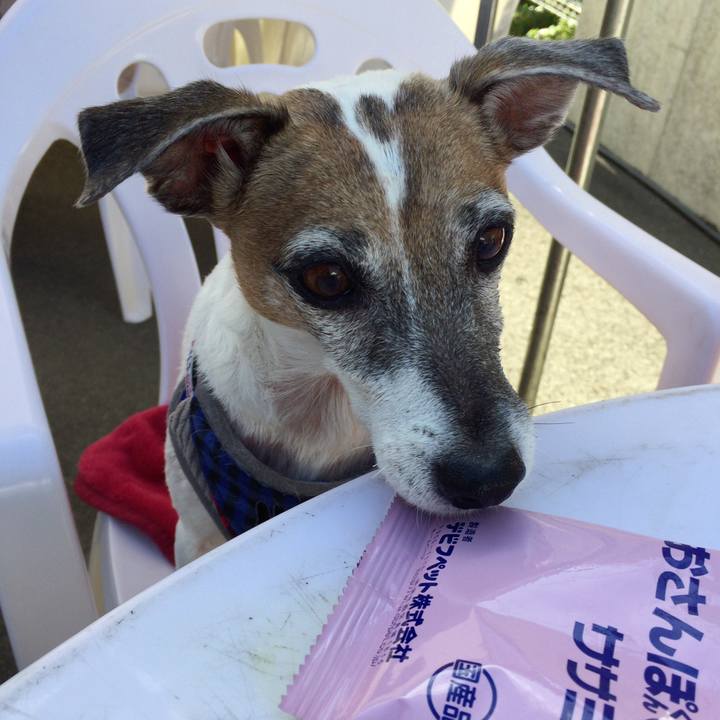 E9a9eecf 808c 4723 8020 b3d20a9b204f