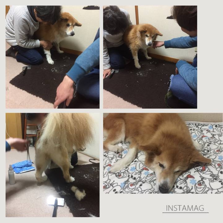 E9ab2025 7fcd 4734 ab31 0414fcdd6f76