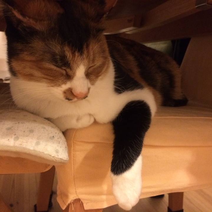 E9ab6bb6 1ce3 46c8 9419 5cf254693733