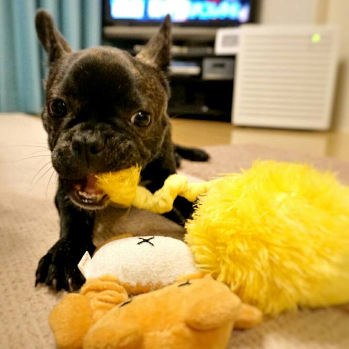 E9abd8aa e7d9 414c 994c 14db54ddef94