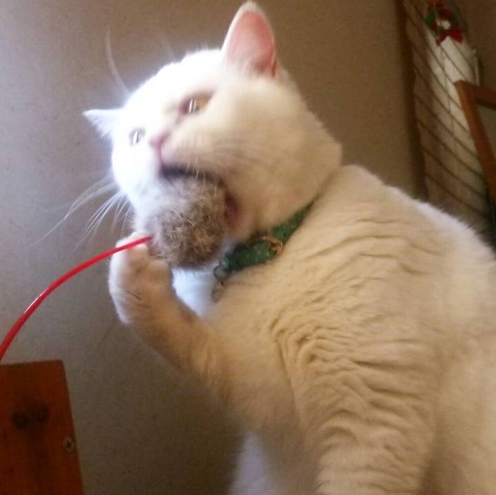 E9abe7c2 1a99 45bf a195 57feed7f51b0