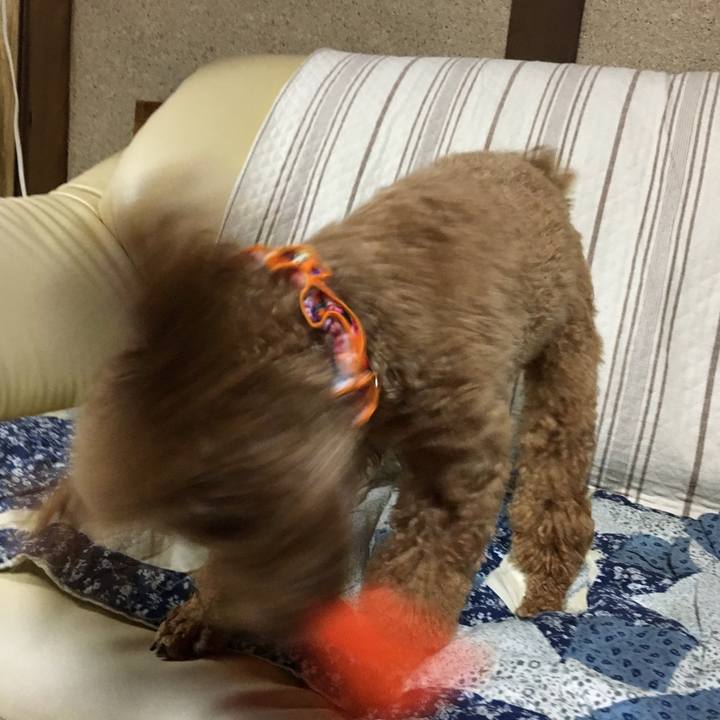 E9ac11ad 2ddb 4741 9945 ef33e83af74c