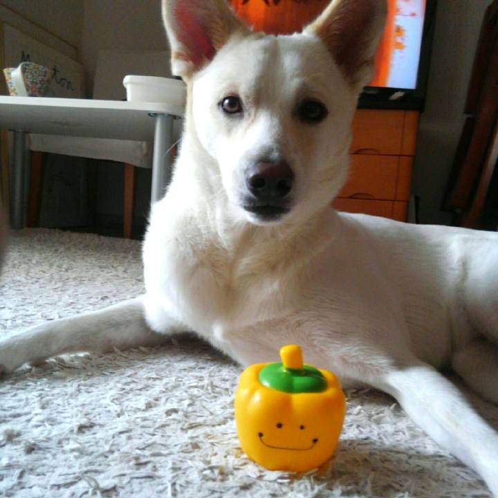 E9ac326e 5f7f 4d99 bf07 941825ac6ebc