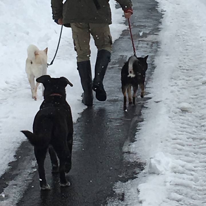 E9acaa82 3b6b 4ca8 a789 d15023f05d09