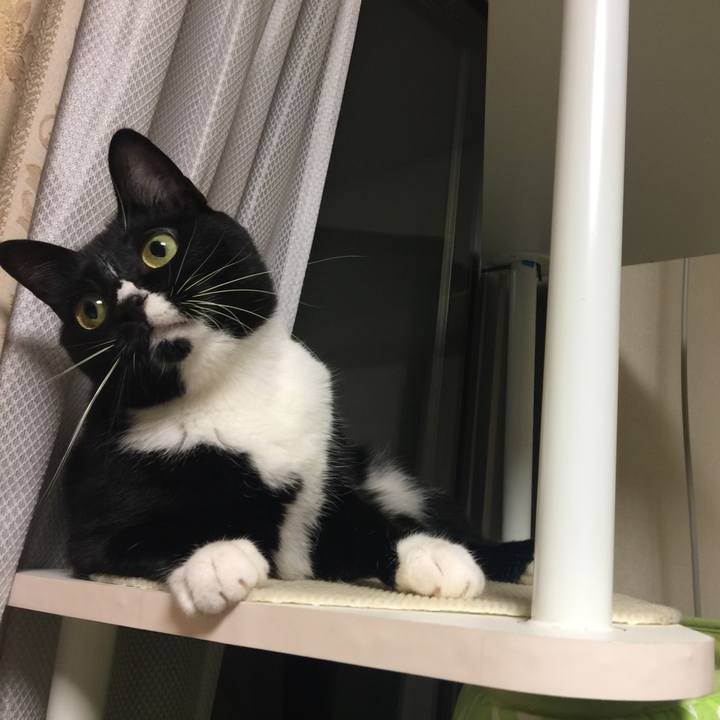 E9acd082 3b84 4be8 acab 9ab900a01b91