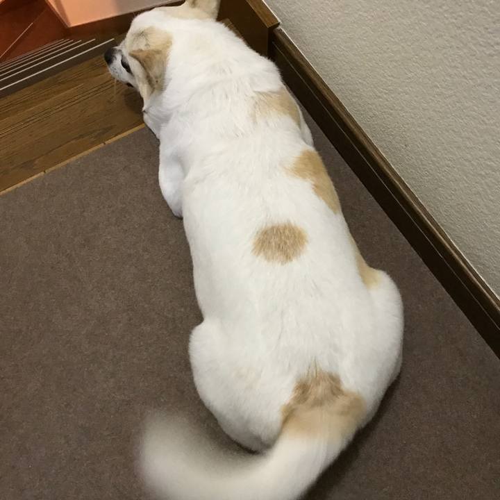 E9ad36d4 0388 4d6d a121 b1ffc202187f