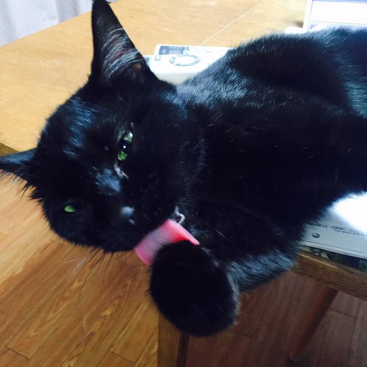 E9ad696e 85c7 4a7c 959b 1a72be37c054