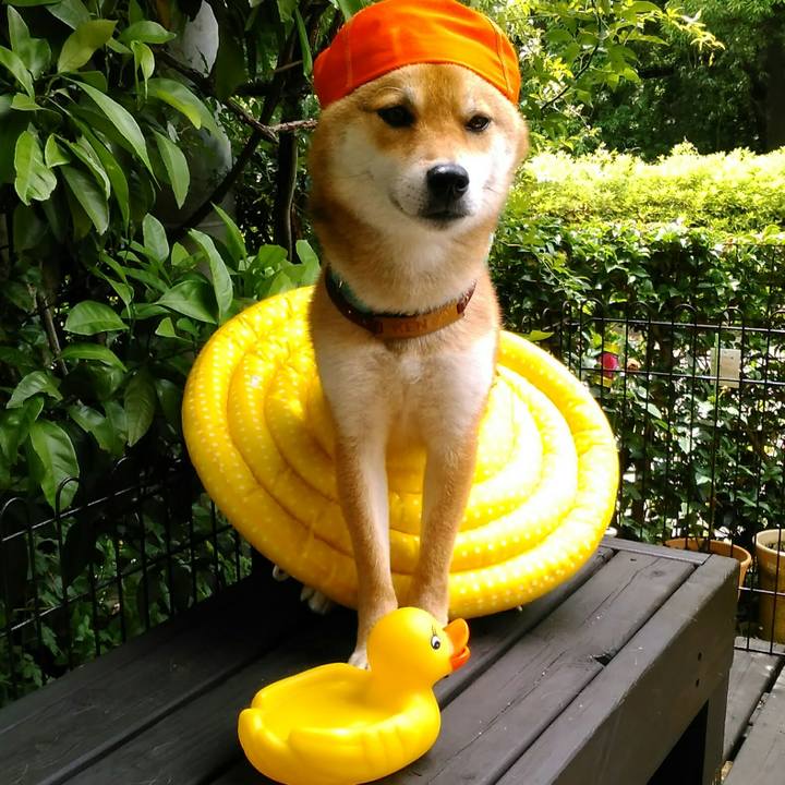 E9ae080b ef00 4697 9d44 95f983a47f62