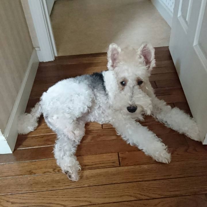 E9ae86f0 5999 49a8 80a8 b8426f8f1606