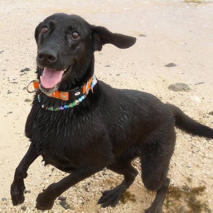 E9aebc6c 7494 49e4 977c f7a6c34a33f0