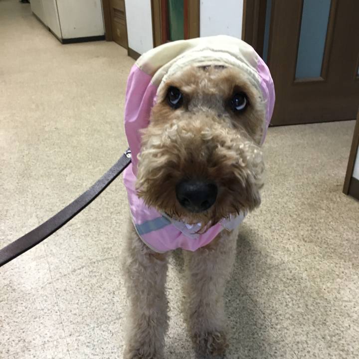 E9af39e8 8b26 4494 aeaf dab6b06da726