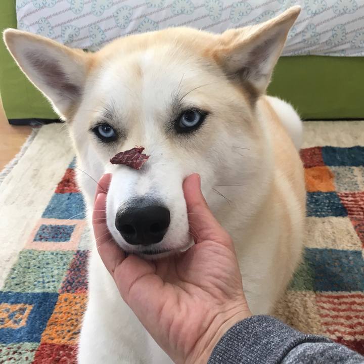 E9afe64f e27e 4e71 94d3 8102b6397879