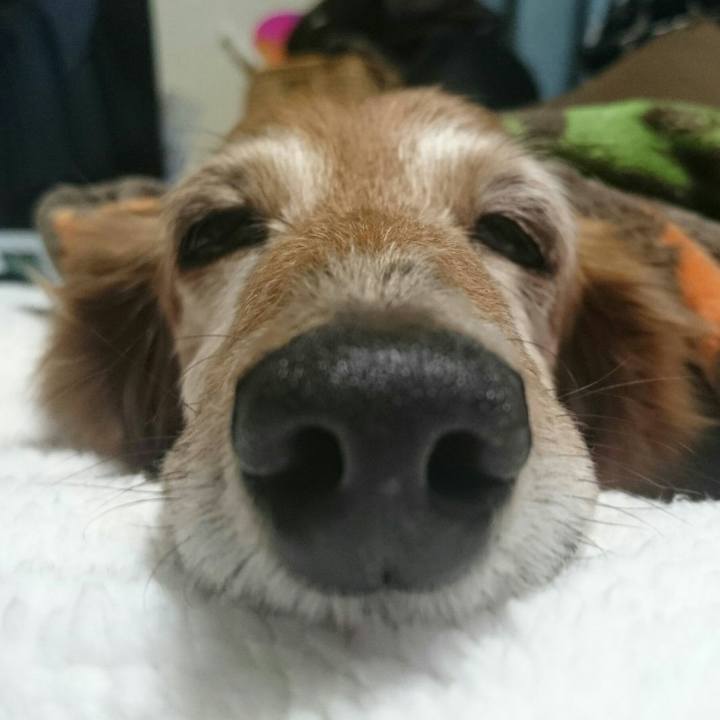 E9affef8 b85e 47ee a3a6 62ef0742dad7