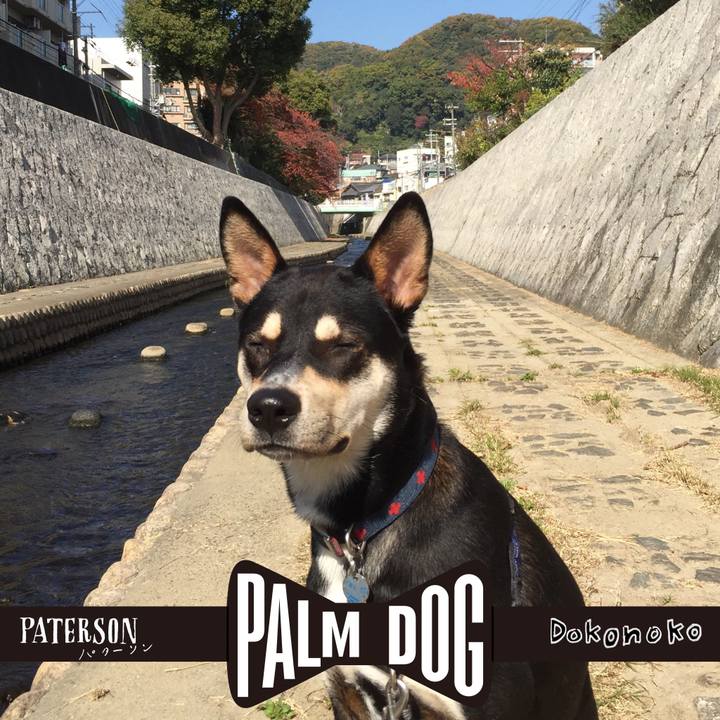 E9b1949a f954 4636 b4fc 1509a9a000ab