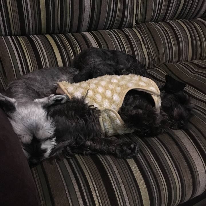 E9b20ff0 bfb2 4141 a94b d52515ef4098