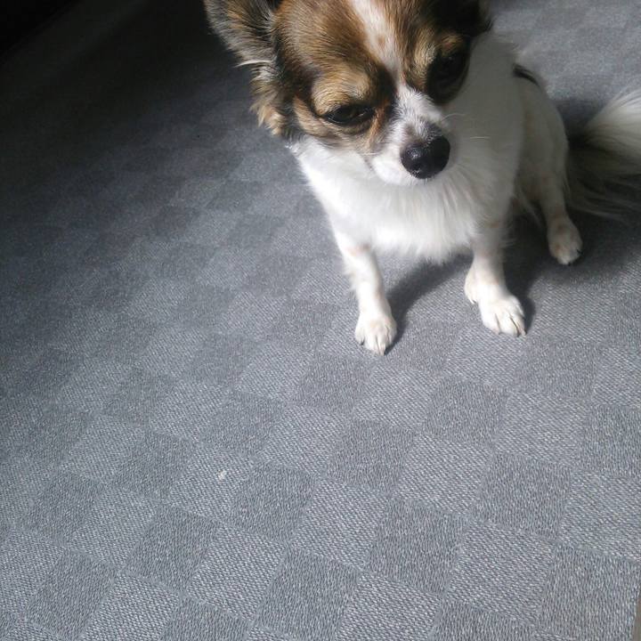 E9b2b36e 3797 429c b35a ef410840cae2