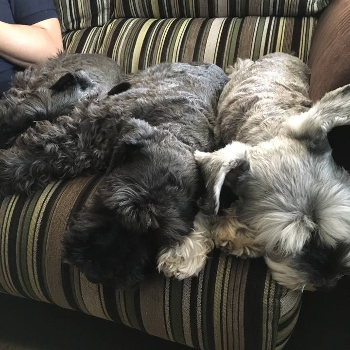 E9b3c76b 93cd 4b1d afeb 2dc7ea8bf44c