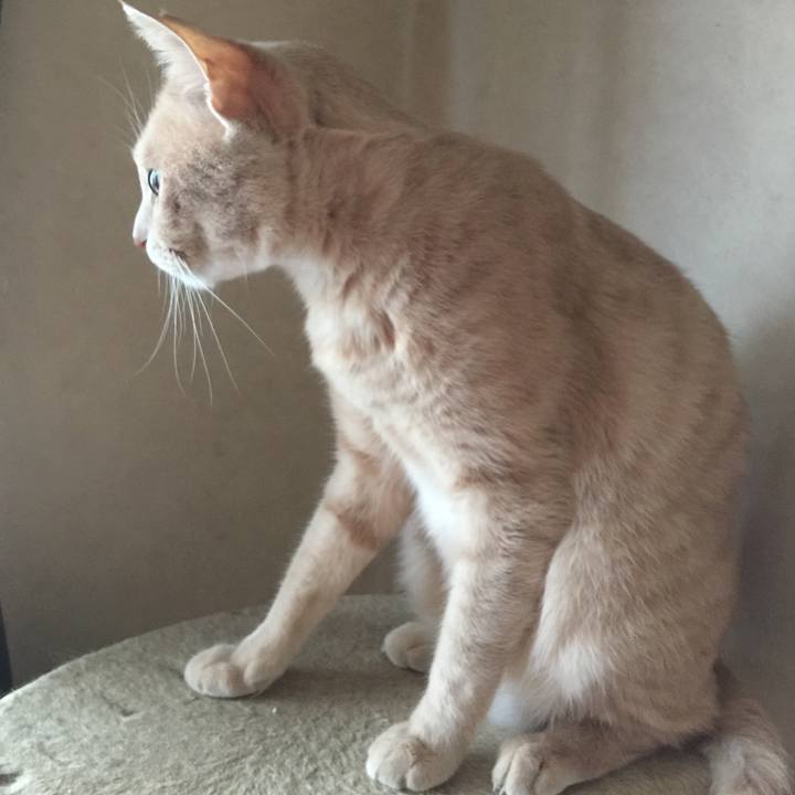 E9b4909c 7200 477a 96d4 3c2fe40357a6