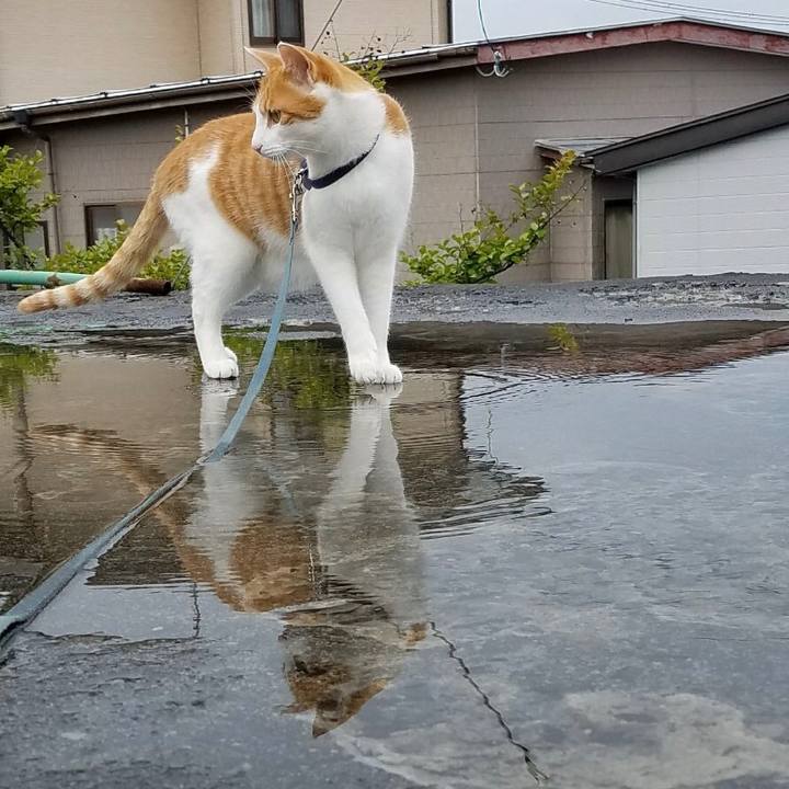 E9b4dfc2 35e5 4f62 ae20 0ed314df57e1